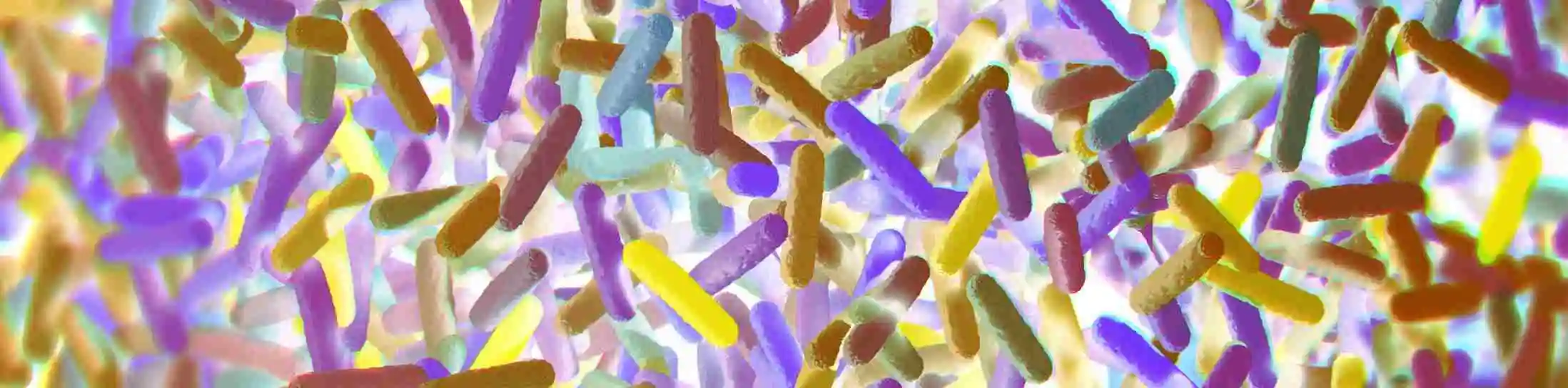 Microbiome Labs in Australia and New Zealand